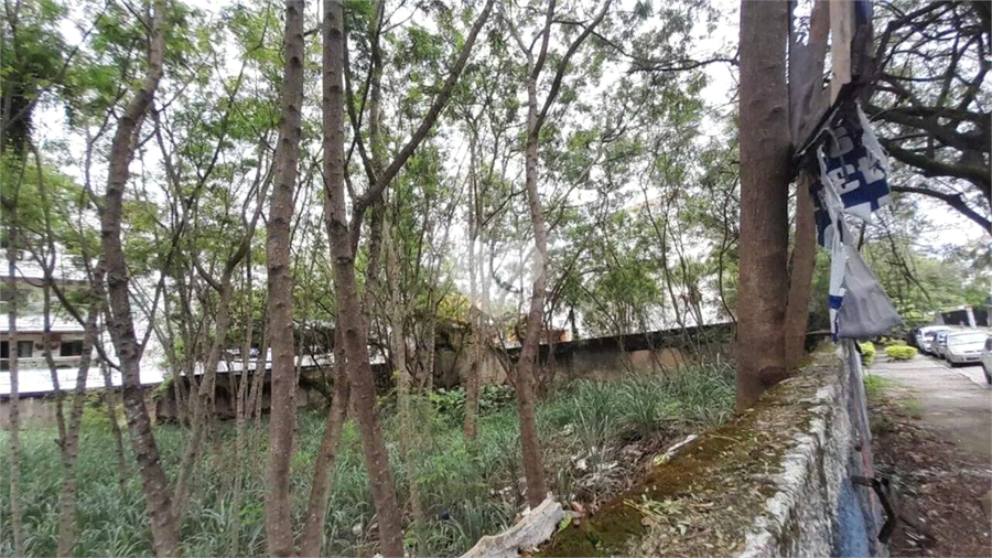 Foto REO1112486