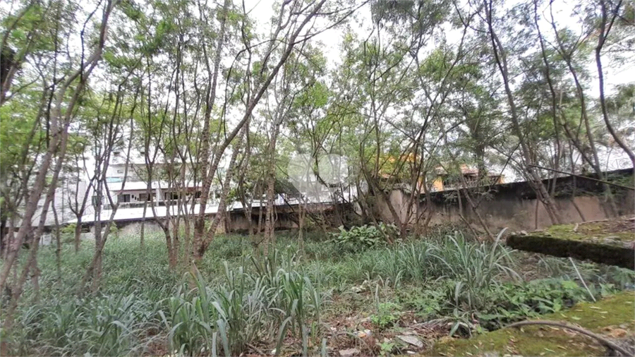 Foto REO1112486