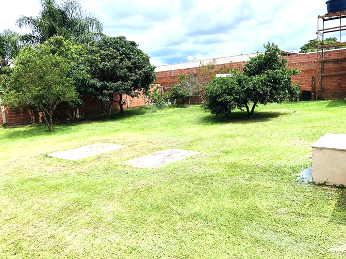 Foto REO1112489