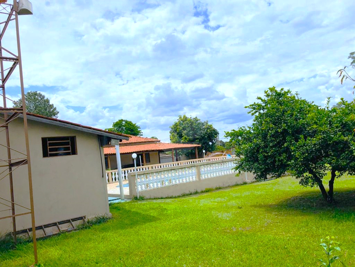 Foto REO1112489