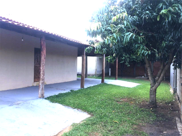 Foto REO1112489