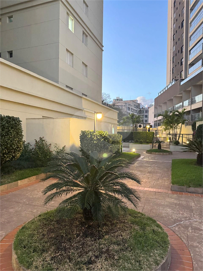 Foto REO1112491