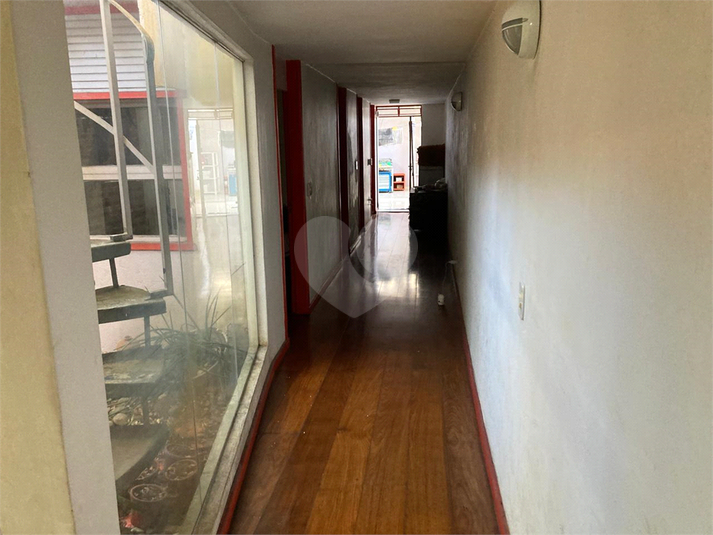 Foto REO1112496