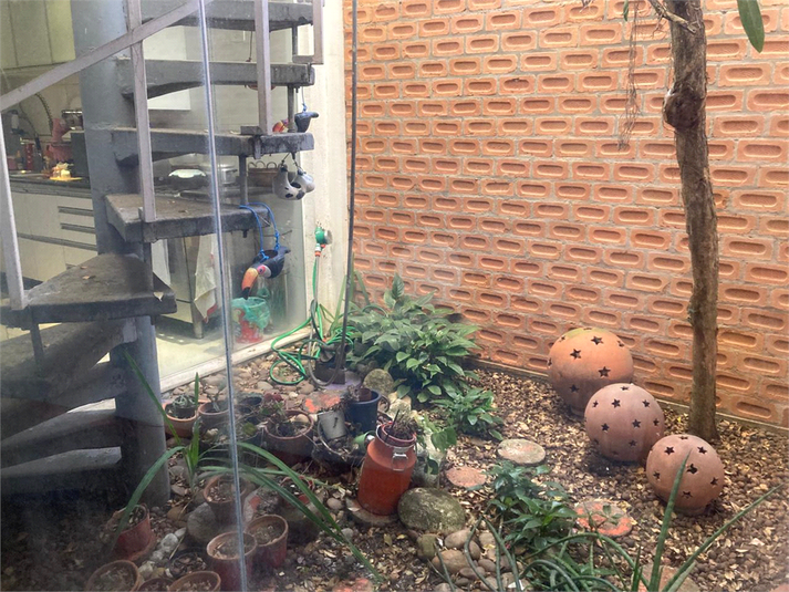 Foto REO1112496