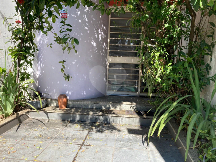Foto REO1112496