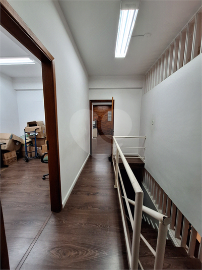 Foto REO1112527