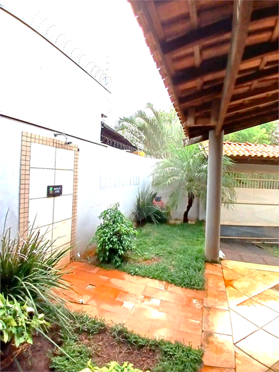 Foto REO1112534