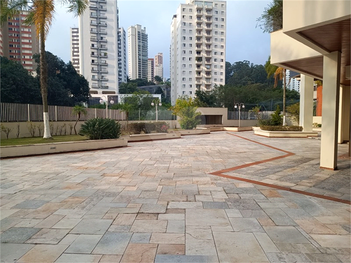 Foto REO1112537