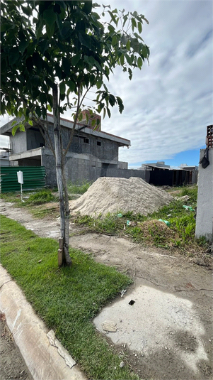 Foto REO1112539