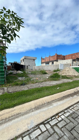 Foto REO1112539