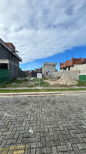 Foto REO1112539