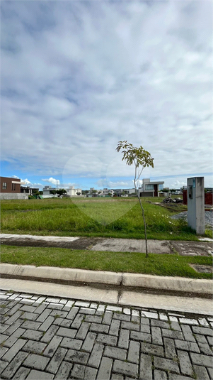 Foto REO1112539