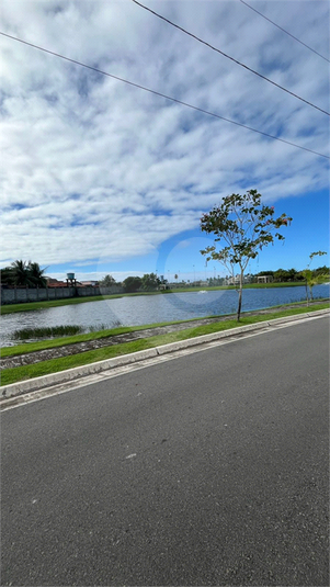Foto REO1112539