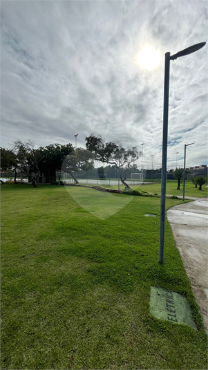 Foto REO1112539