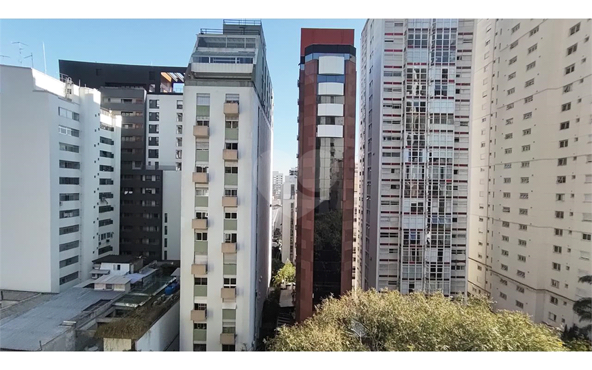 Foto REO1112545