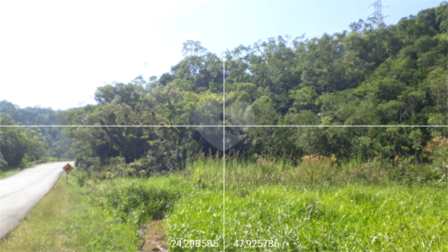 Foto REO1112550