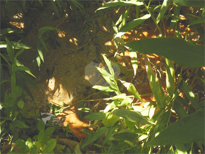 Foto REO1112550