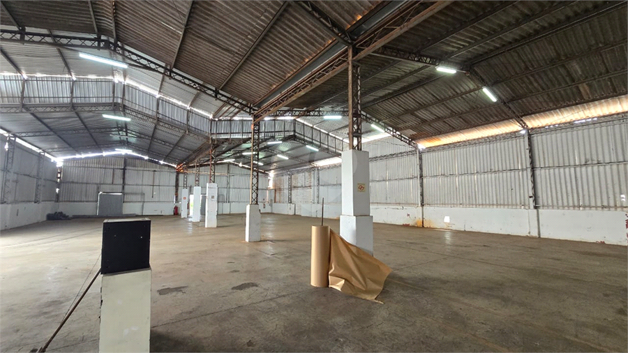 Foto REO1112561