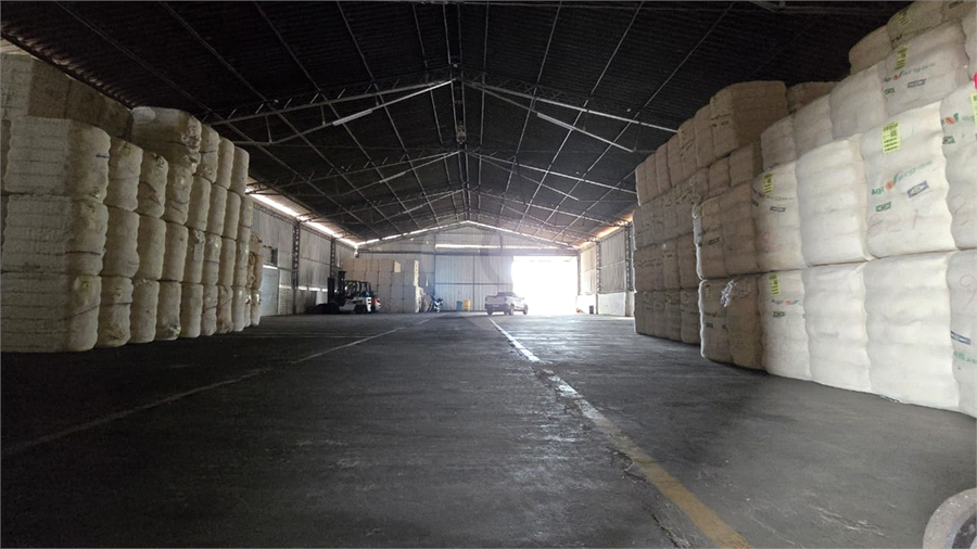 Foto REO1112561
