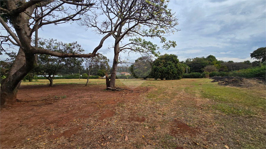 Foto REO1112561