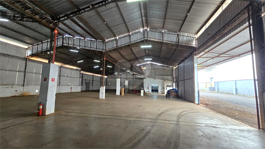 Foto REO1112561