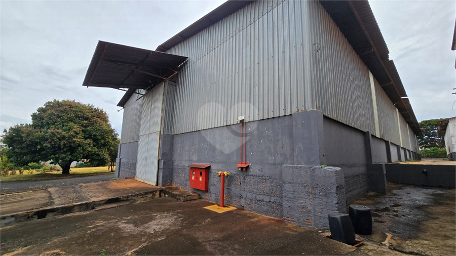 Foto REO1112561