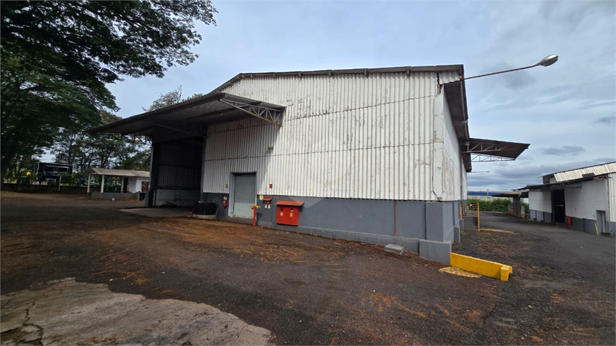 Foto REO1112561