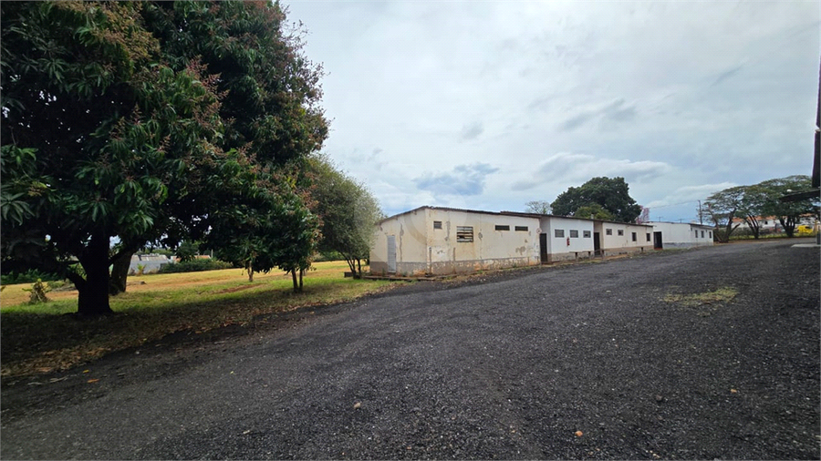 Foto REO1112561
