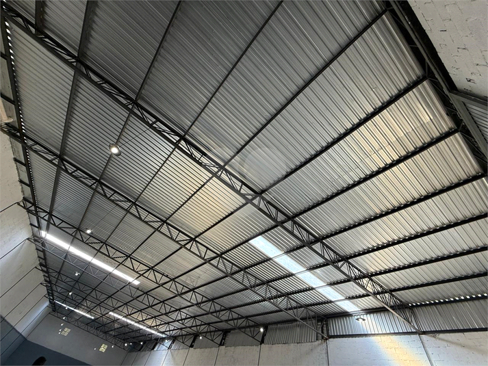 Foto REO1112565