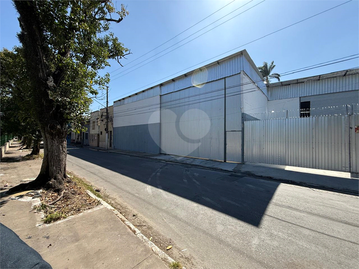 Foto REO1112565