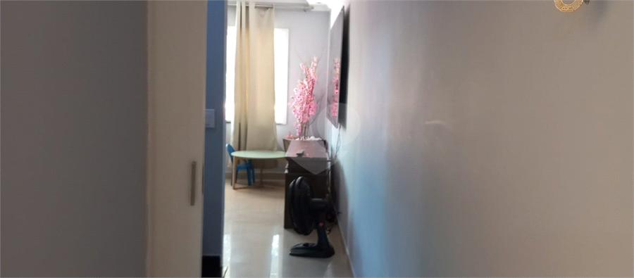 Foto REO1112566