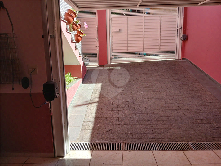 Foto REO1112566