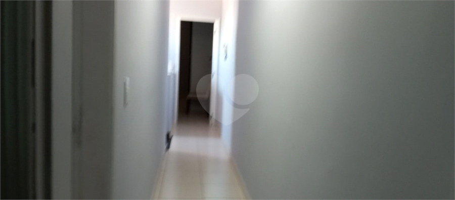 Foto REO1112566