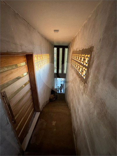 Foto REO1112569