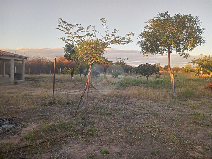 Foto REO1112573
