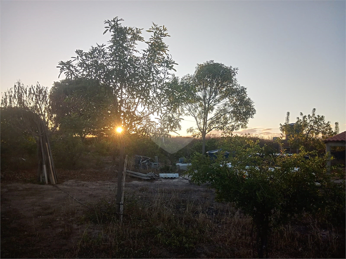 Foto REO1112573