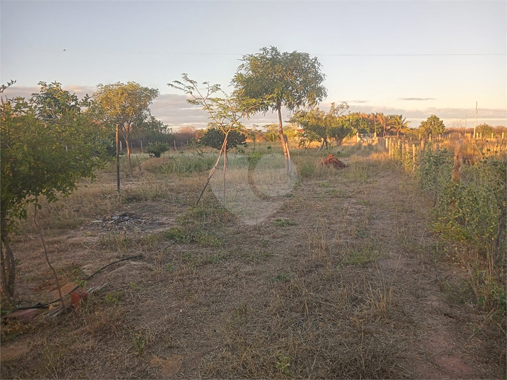 Foto REO1112573