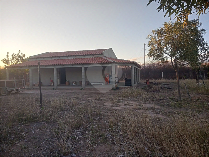 Foto REO1112573
