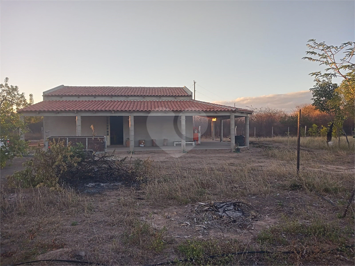Foto REO1112573