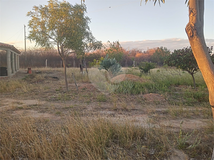 Foto REO1112573
