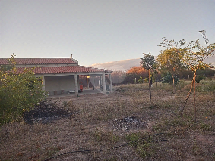 Foto REO1112573