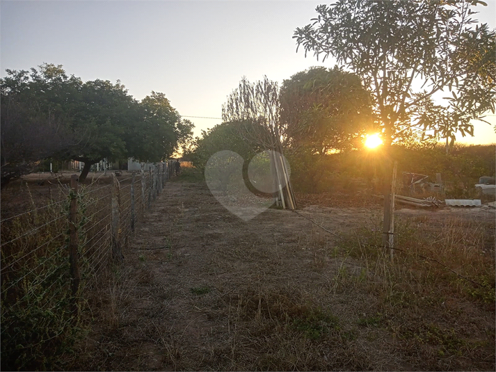 Foto REO1112573