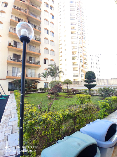 Foto REO1112580