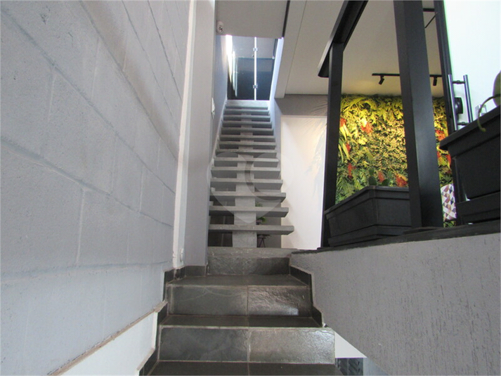 Foto REO1112587