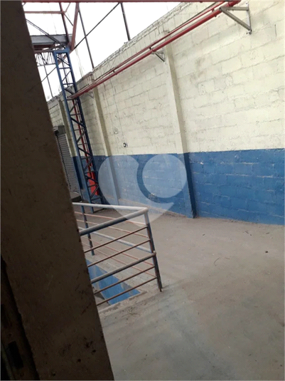 Foto REO1112618