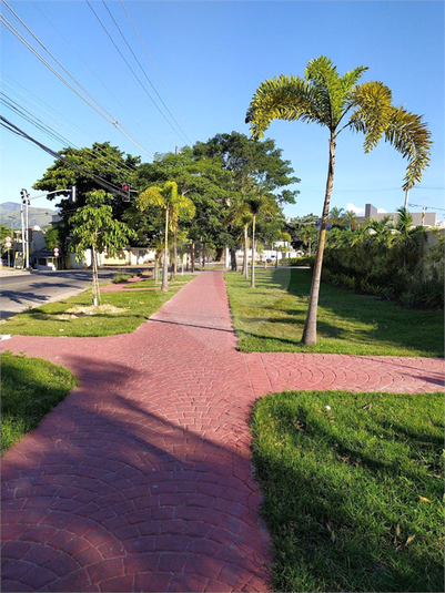 Foto REO1112625