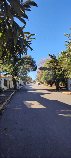 Foto REO1112626