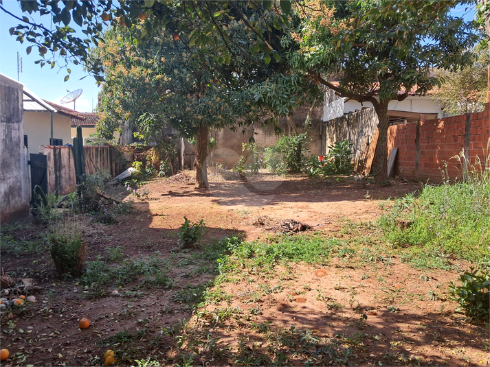 Foto REO1112626
