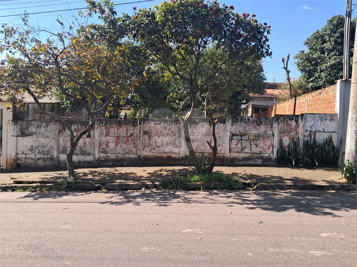 Foto REO1112626