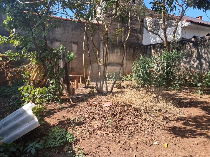 Foto REO1112626